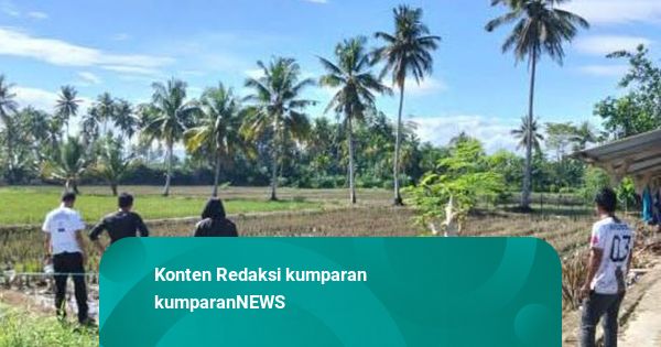 Petugas Kebersihan Puskesmas di Lutim Ditemukan Tewas di Sawah, Diduga Dibunuh