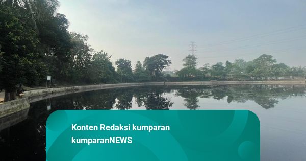 Dinas LHK Depok soal Situ Bahar Tercemar: Kami Akan Awasi Perusahaan di Sekitar