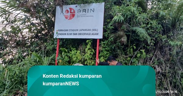 2 Harimau Muncul Dekat Permukiman Warga Agam, Berjarak 10 Meter dari Kantor BRIN
