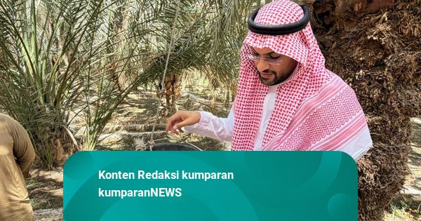 Menikmati Kurma di Lokasi Bersejarah Kebun Abdurrahman bin Auf di Madinah