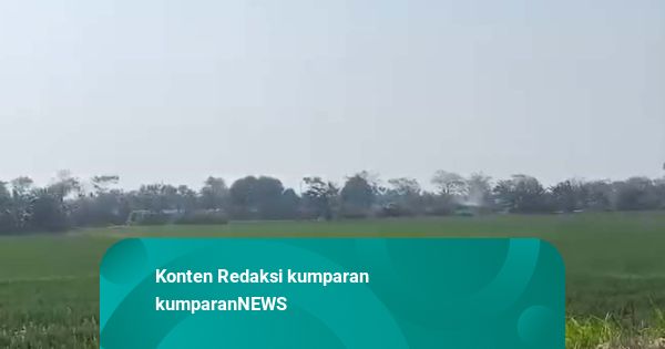 Keluh Kesah Petani di Serang yang Terdampak Sungai Ciujung Menghitam dan Bau