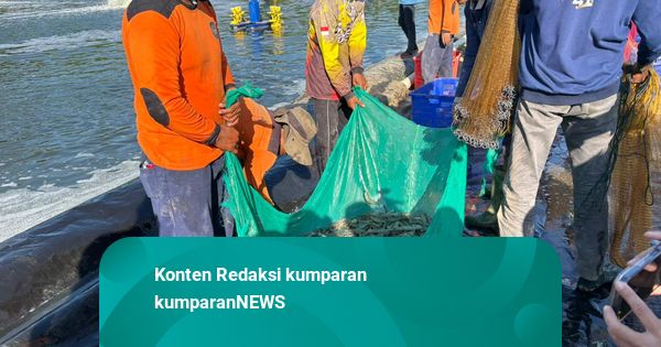 Menanam Pundi-Pundi, Menanti Kebebasan: Cerita Para Napi Nusakambangan