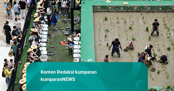 Foto: Menikmati Rasanya Menanam Padi di Tengah Mal China