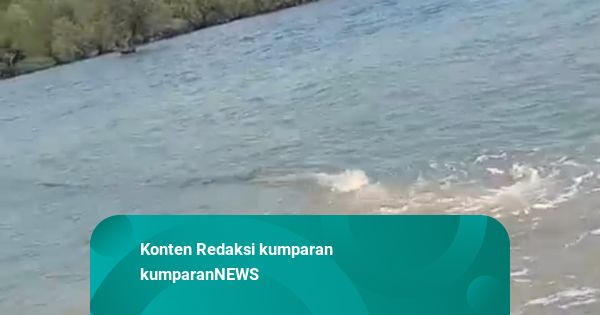 Nelayan di Situbondo Temukan Pipa Pembuangan di Laut, Khawatir Limbah Berbahaya