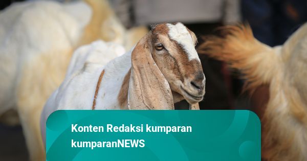 Singapura dan Malaysia Juga Rayakan Idul Adha 27 Mei