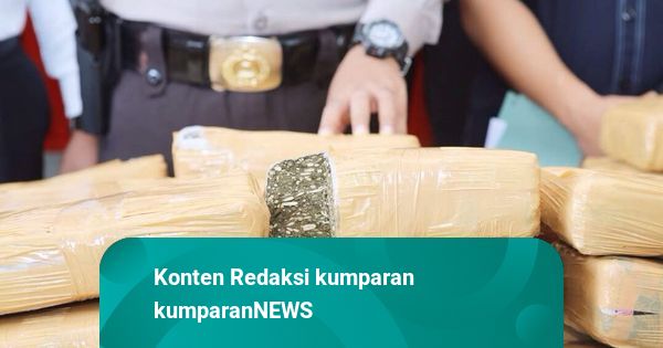 Bareskrim Gagalkan 10 Kg Paket Ganja dari Padang ke Sidoarjo, Penerima Ditangkap