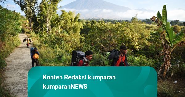 Kabasarnas soal Shelter Gunung Ditambah: Kemampuan Terbatas, Butuh Kerja Sama