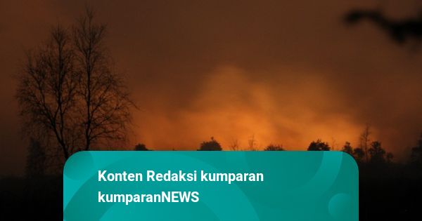 Memasuki Musim Kemarau, BMKG Wanti-Wanti Kebakaran Hutan di Riau hingga Sumsel