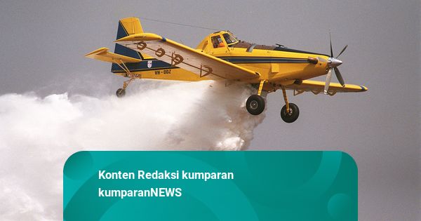 Pesawat Pemadam Kebakaran Turki Jatuh di Kroasia, Pilot Tewas