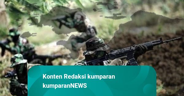 Tokoh OPM Bumi Walo Tewas Dalam Operasi TNI di Puncak Jaya