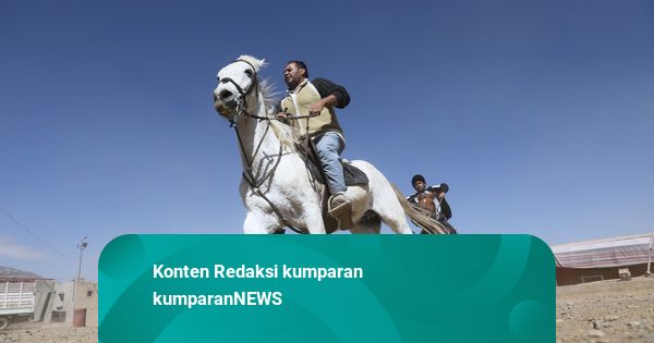 Viral Penganiayaan Kuda di Cimahi, Polisi Telusuri