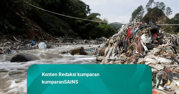 Polusi Plastik Bikin Biaya Kesehatan Global Bengkak hingga Rp 24 Kuadriliun