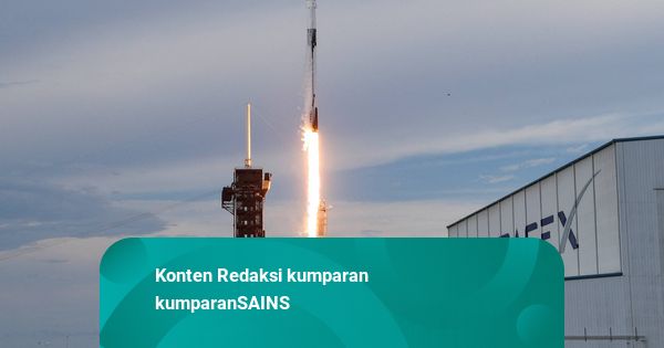 Perusahaan Elon Musk Meluncurkan 165 Roket ke Luar Angkasa Sepanjang 2025
