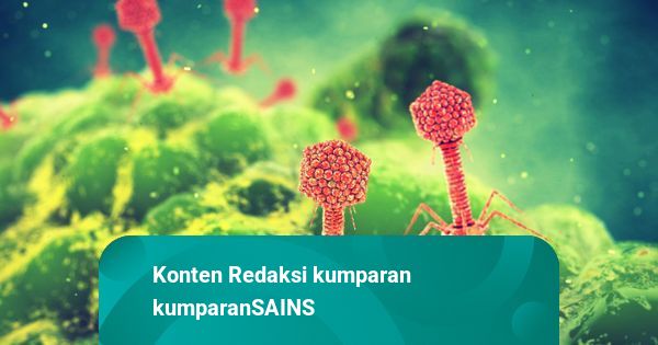 230 Virus Raksasa Baru Ditemukan, Ada di Hampir Semua Laut Bumi