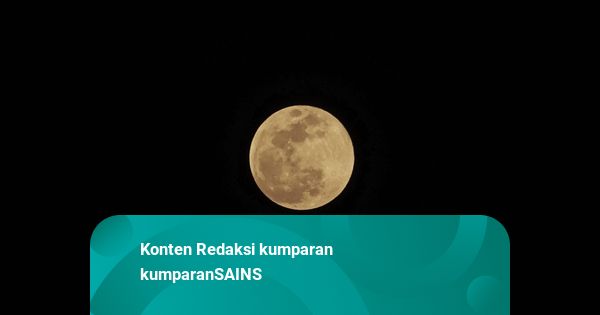 Asteroid Raksasa Diprediksi Tabrak Bulan 2032, Apakah Berdampak pada Bumi?