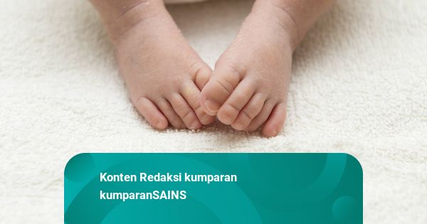 Bayi 'Tabung' Tertua di Dunia Lahir dari Embrio yang Dibekukan 30,5 Tahun