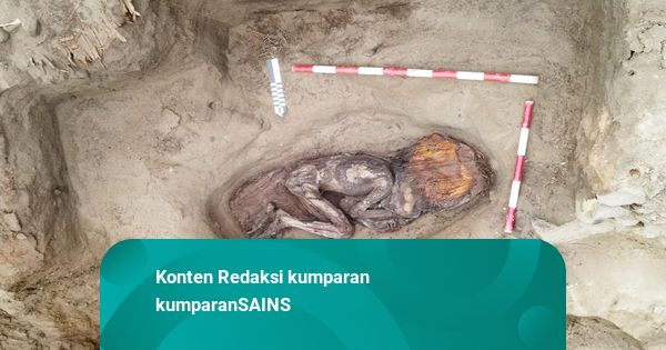 Jasad Wanita Bangsawan Kuno Usia 4.500 Tahun Ditemukan, Kulit hingga Rambut Utuh