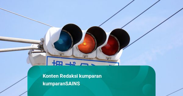 Kenapa Ada Lampu Lalu Lintas Warna Biru di Jepang? Ini Alasannya