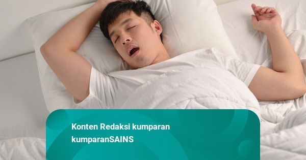 Kenapa Orang yang Tidur Mendengkur Tidak Terganggu Suara Dengkurannya?