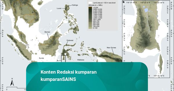Temuan Baru Ungkap Manusia Purba Hobbit Kemungkinan Besar Berasal dari Sulawesi