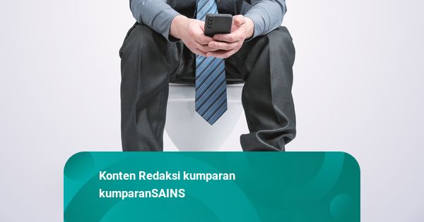 Kebiasaan Bawa HP ke Toilet, Bisa Picu Risiko Wasir Meningkat Signifikan