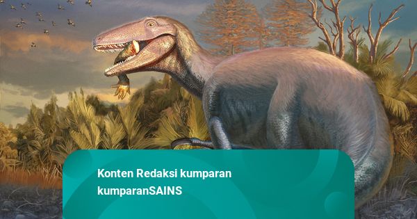 Megaraptor Fossil Discovery: Crocodile Meal Mystery - News Directory 3