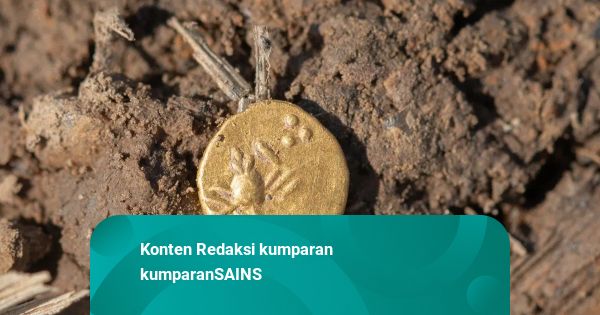 Arkeolog Temukan Harta Karun Ratusan Koin Emas dan Perak Berusia 2.500 Tahun