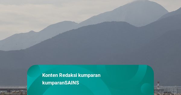 Cara Evakuasi Korban Kecelakaan Pesawat Paling Cepat dan Efisien Menurut Sains