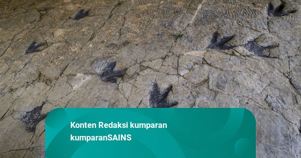 Jejak Kaki Dinosaurus Ditemukan di Langit-langit Gua Prancis