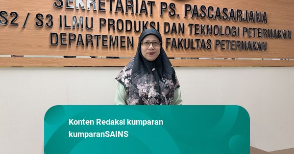 Perjalanan Prof. Niken Jadi Ahli Telur di IPB Sejak 1981, Bermula dari Skripsi