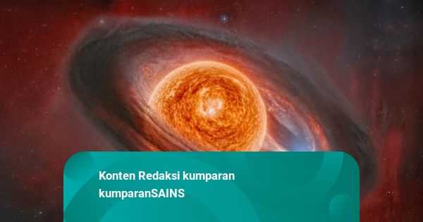 宇宙最大の星の1つが死ぬと予測される