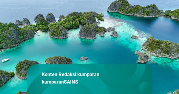 Raja Ampat Surga Terakhir di Bumi, Jadi Rumah Ribuan Pulau dan Hewan Langka