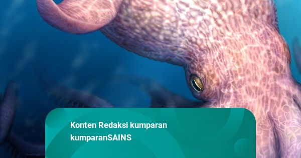 Gurita Raksasa Pernah Kuasai Laut Purba, Ukurannya Diduga Capai 19 Meter