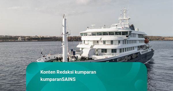 Beda Penyakit Pes dan Hantavirus yang Menyebar di Kapal Pesiar