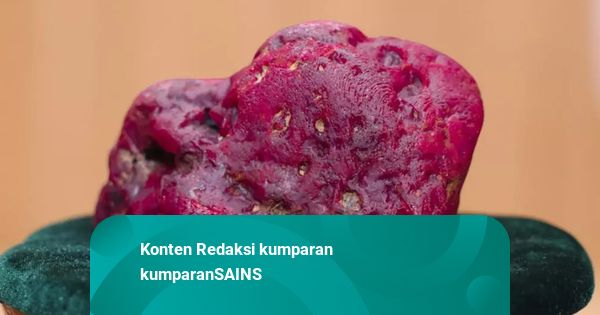 Batu Ruby 11.000 Karat Ditemukan di Myanmar, Harga Capai Ratusan Miliar Rupiah