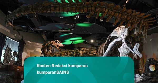 Fosil Dinosaurus Terbesar di ASEAN Ditemukan, Bobot 27.000 Kg
