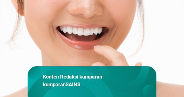Begini Cara Bangsawan Wanita Prancis Abad ke-17 Jaga Giginya Tetap Utuh