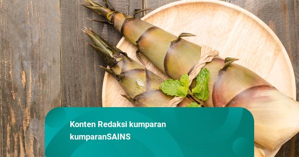 Bambu Ternyata Punya Banyak Manfaat untuk Kesehatan, Bisa Jadi Superfood?