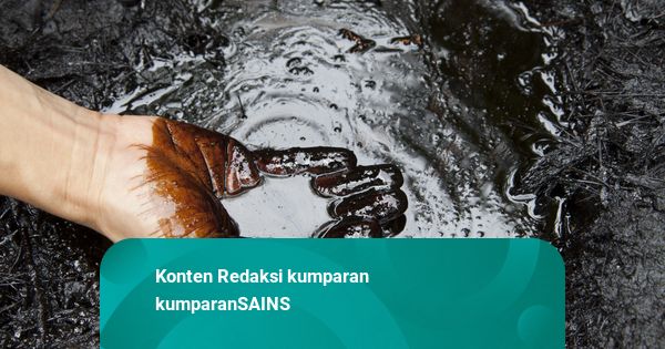 Bukan dari Dinosaurus, Minyak Bumi Ternyata Berasal dari Makhluk Kecil Ini