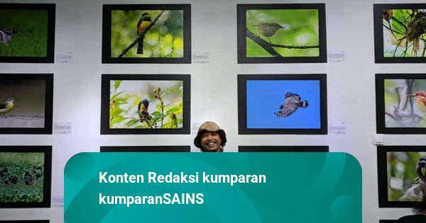 situs daftar slot mesin online Tips Fotografi: Birding Photography Selamatkan Burung Melalui Fotografi - kumparan.com