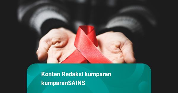 Pentingnya Edukasi soal HIV-AIDS, dari Faktor Risiko hingga ...
