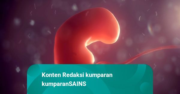 Terobosan Medis: Umat Manusia Kini Mampu Ciptakan Embrio Bayi dari Sel Kulit