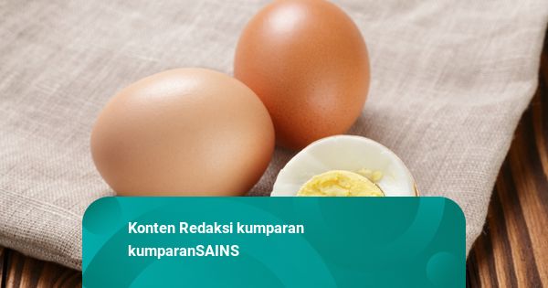 Begini Cara Kupas Telur Rebus menurut Sains