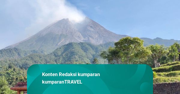 Cerita Warga Lereng Merapi Budidaya Anggrek hingga Kopi untuk Jaga Air