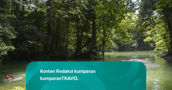 Foto: Menikmati Ekowisata Danau Nyadeng di Berau Kaltim