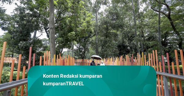 Foto: Menghabiskan Waktu Libur Natal dengan Mengunjungi Tebet Eco Park
