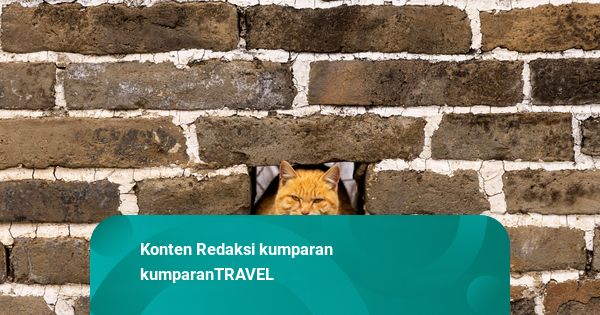 Foto: Gemasnya Sang Penjaga Mutianyu Tembok Besar China