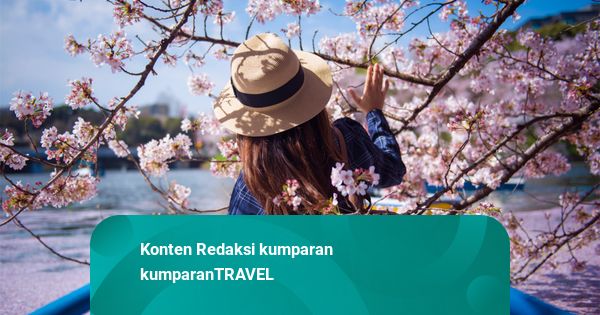 Liburan ke Jepang Makin Mahal, Pajak Turis Naik 3 Kali Lipat Mulai Juli 2026