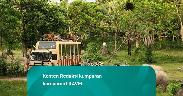 Taman Safari Indonesia Siap Kelola Kebun Binatang Bandung, Tunggu Lelang