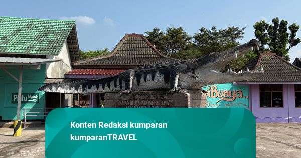 Mengunjungi Taman Buaya Indonesia Jaya, Lokasi Syuting Film Crocodile Tears